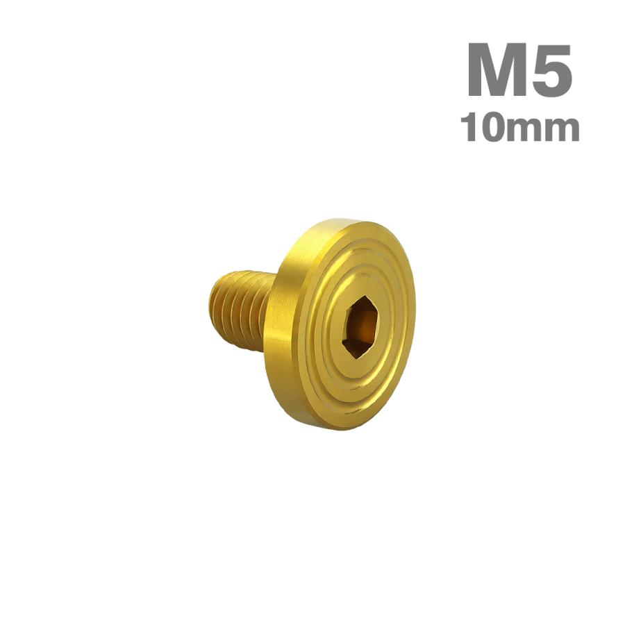 ステンレスボルト M5×10mm P0.8 マットタイプ シェルヘッド フラット ゴールドカラー TR0837 | TECHーMASTER