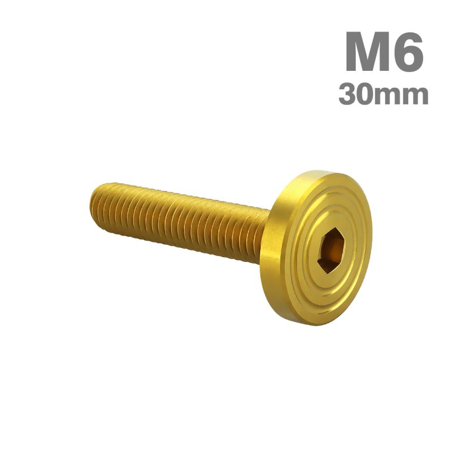 ステンレスボルト M6×30mm P1.0 マットタイプ シェルヘッド フラット ゴールドカラー TR0849 | TECHーMASTER