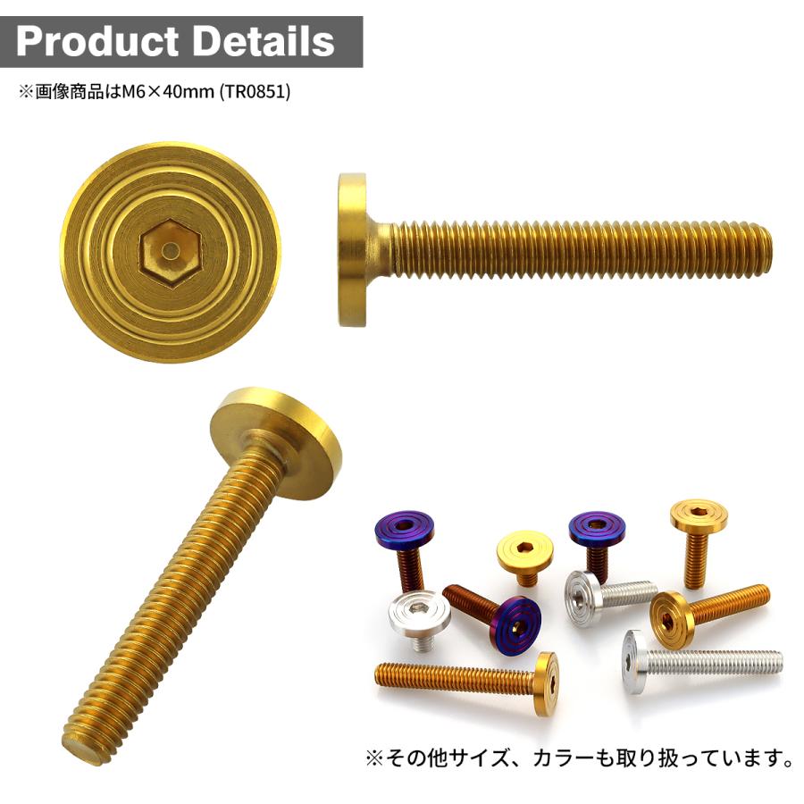 ステンレスボルト M6×40mm P1.0 マットタイプ シェルヘッド フラット ゴールドカラー TR0851 | TECHーMASTER | 02