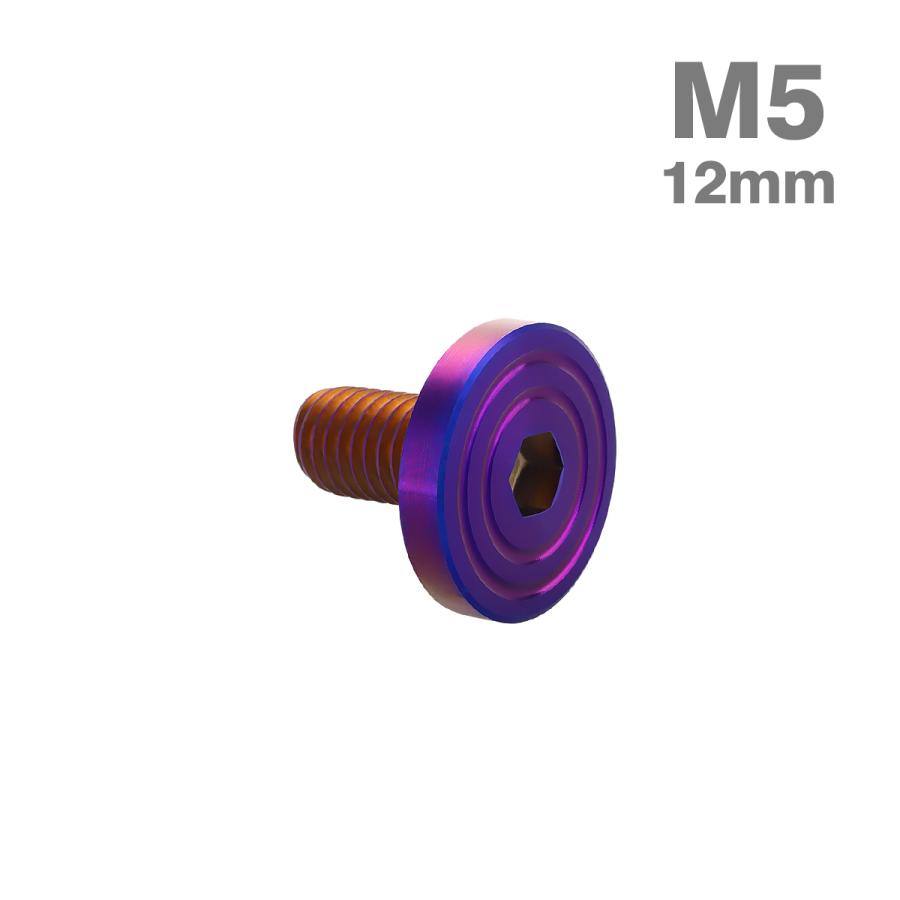 ステンレスボルト M5×12mm P0.8 マットタイプ シェルヘッド フラット 焼きチタンカラー TR0857 | TECHーMASTER