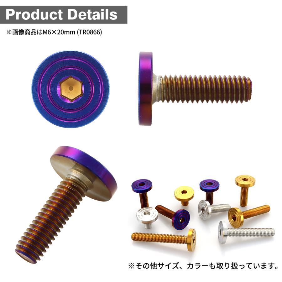ステンレスボルト M5×20mm P0.8 マットタイプ シェルヘッド フラット 焼きチタンカラー TR0859 | TECHーMASTER | 02