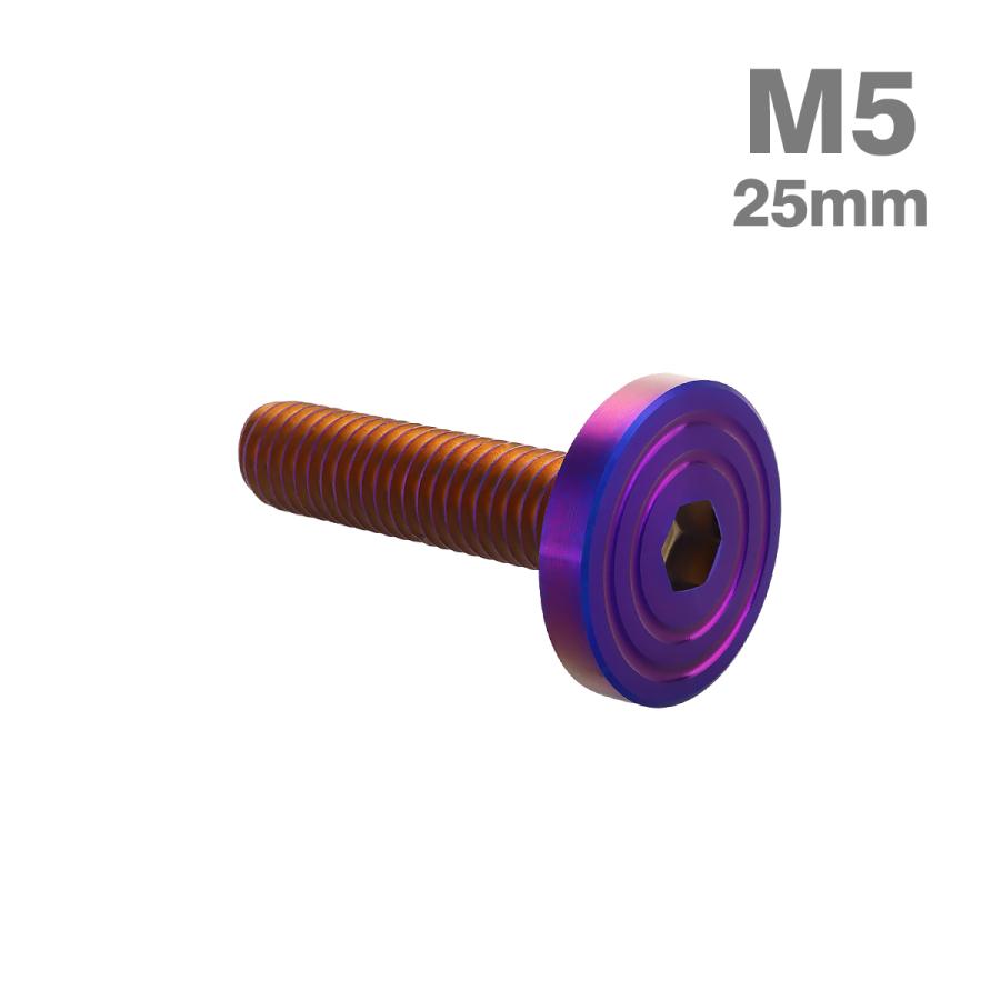 ステンレスボルト M5×25mm P0.8 マットタイプ シェルヘッド フラット 焼きチタンカラー TR0860 | TECHーMASTER