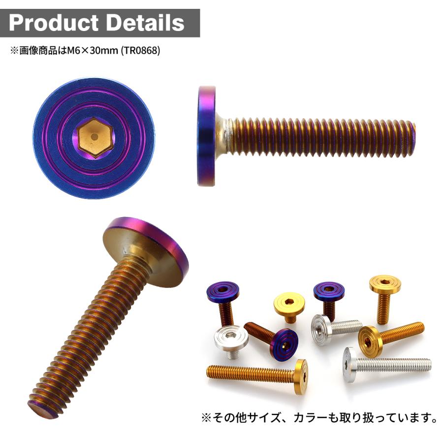 ステンレスボルト M5×25mm P0.8 マットタイプ シェルヘッド フラット 焼きチタンカラー TR0860 | TECHーMASTER | 02