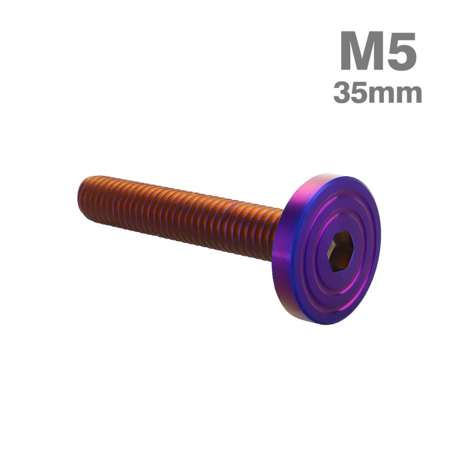 ステンレスボルト M5×35mm P0.8 マットタイプ シェルヘッド フラット 焼きチタンカラー TR0862 | TECHーMASTER