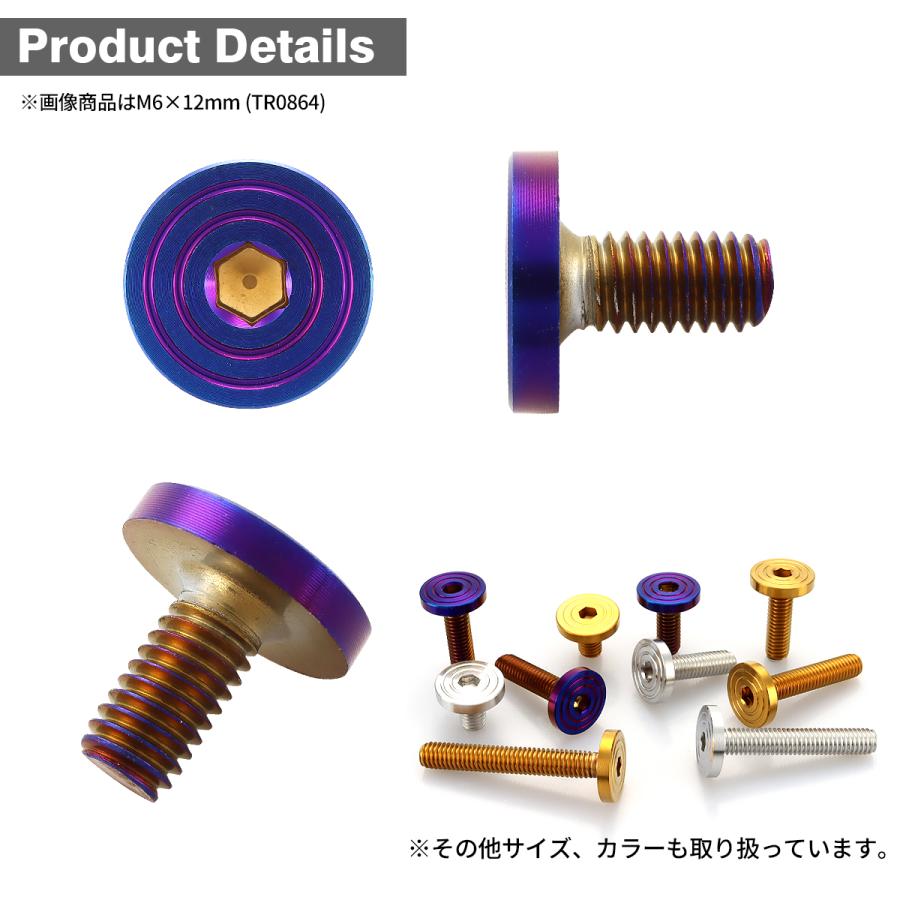 ステンレスボルト M6×10mm P1.0 マットタイプ シェルヘッド フラット 焼きチタンカラー TR0863 | TECHーMASTER | 02