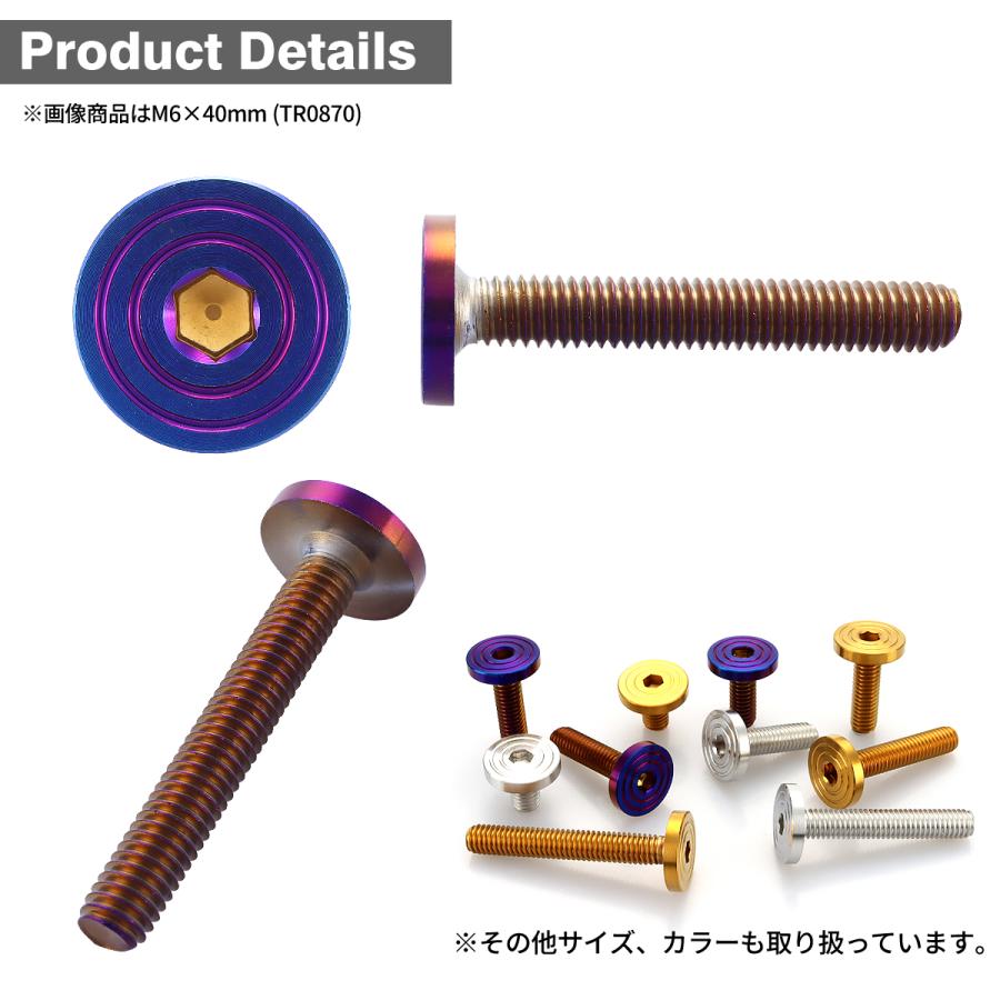ステンレスボルト M6×40mm P1.0 マットタイプ シェルヘッド フラット 焼きチタンカラー TR0870 | TECHーMASTER | 02