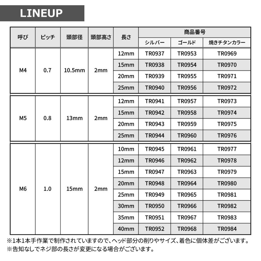 ステンレスボルト M5×20mm P0.8 ホールヘッド フラット 焼きチタンカラー TR0975 | TECHーMASTER | 01