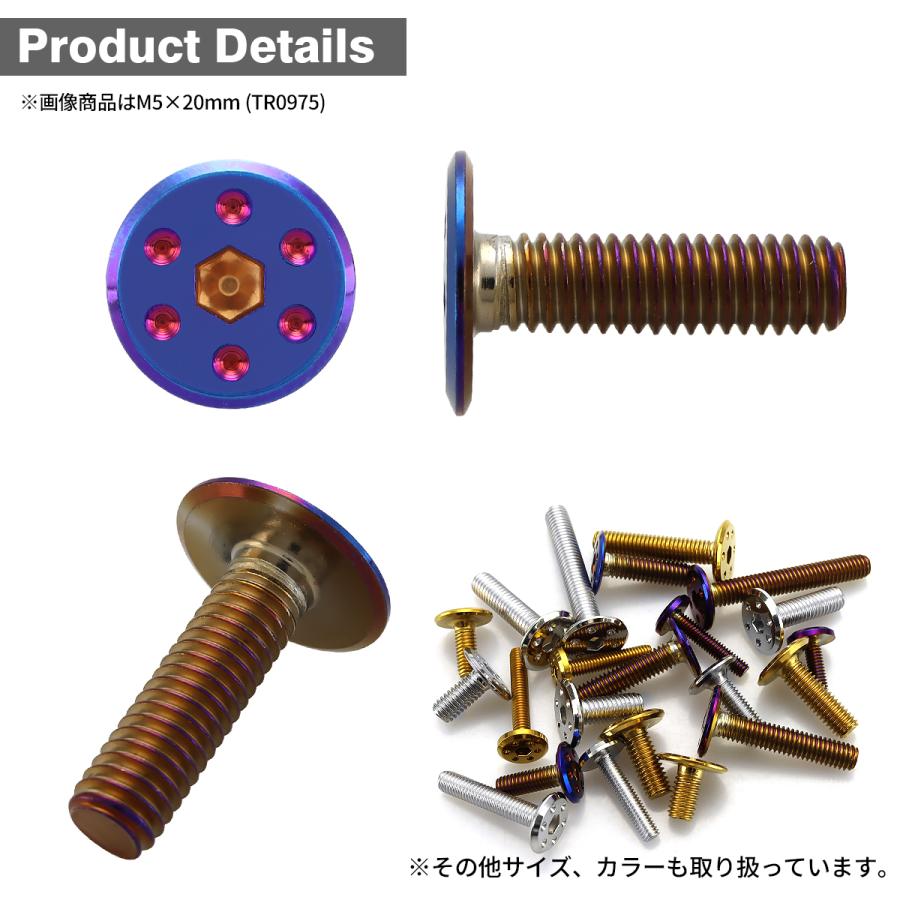 ステンレスボルト M5×20mm P0.8 ホールヘッド フラット 焼きチタンカラー TR0975 | TECHーMASTER | 02