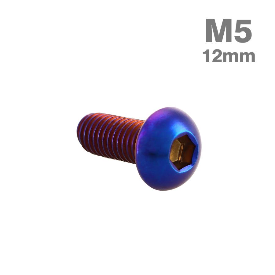 ステンレスボルト M5×12mm P0.8 ボタンボルト トラスヘッド 焼きチタンカラー TR0987 | TECHーMASTER