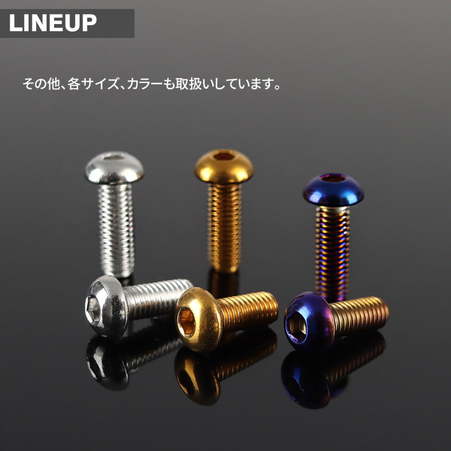 ステンレスボルト M5×12mm P0.8 ボタンボルト トラスヘッド 焼きチタンカラー TR0987 | TECHーMASTER | 03
