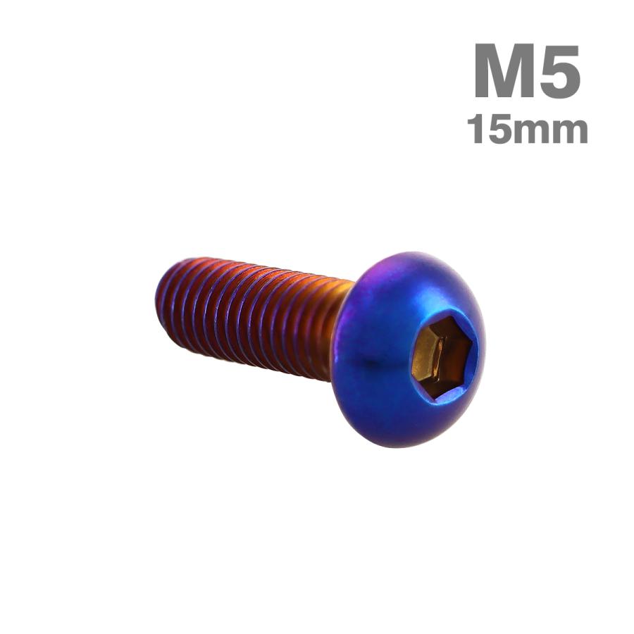 ステンレスボルト M5×15mm P0.8 ボタンボルト トラスヘッド 焼きチタンカラー TR0990 | TECHーMASTER