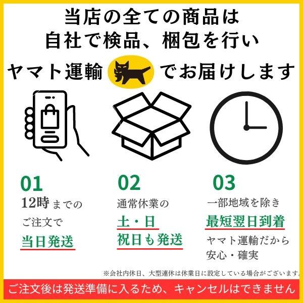 トートバッグ レディース 大きめ a4 軽量 軽い ナイロン ファスナー 大容量 通勤 肩がけ ポケット多い マザーズ 防水｜tmstore-chitra｜19