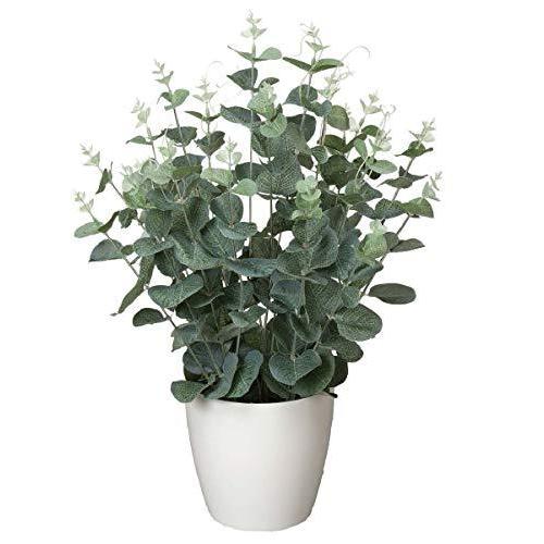 公式オンラインアウトレットストア 人工観葉植物 光触媒 385a50 ユーカリ 約 幅30 奥行30 高さ42cm A B00pjyraws 2516 Dukeの森 通販 Yahoo ショッピング 超安い Kvtt Com Au