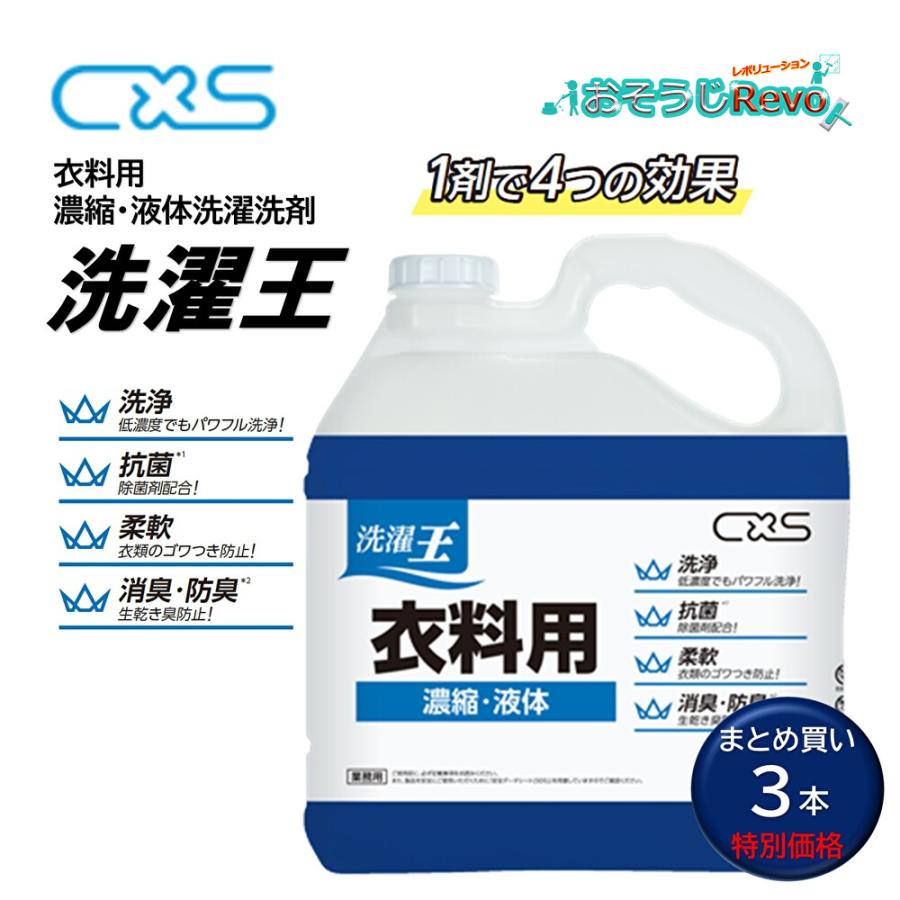 シーバイエス C×S 洗濯王 5L （3本） 衣料用洗濯洗剤 1剤で洗濯 柔軟