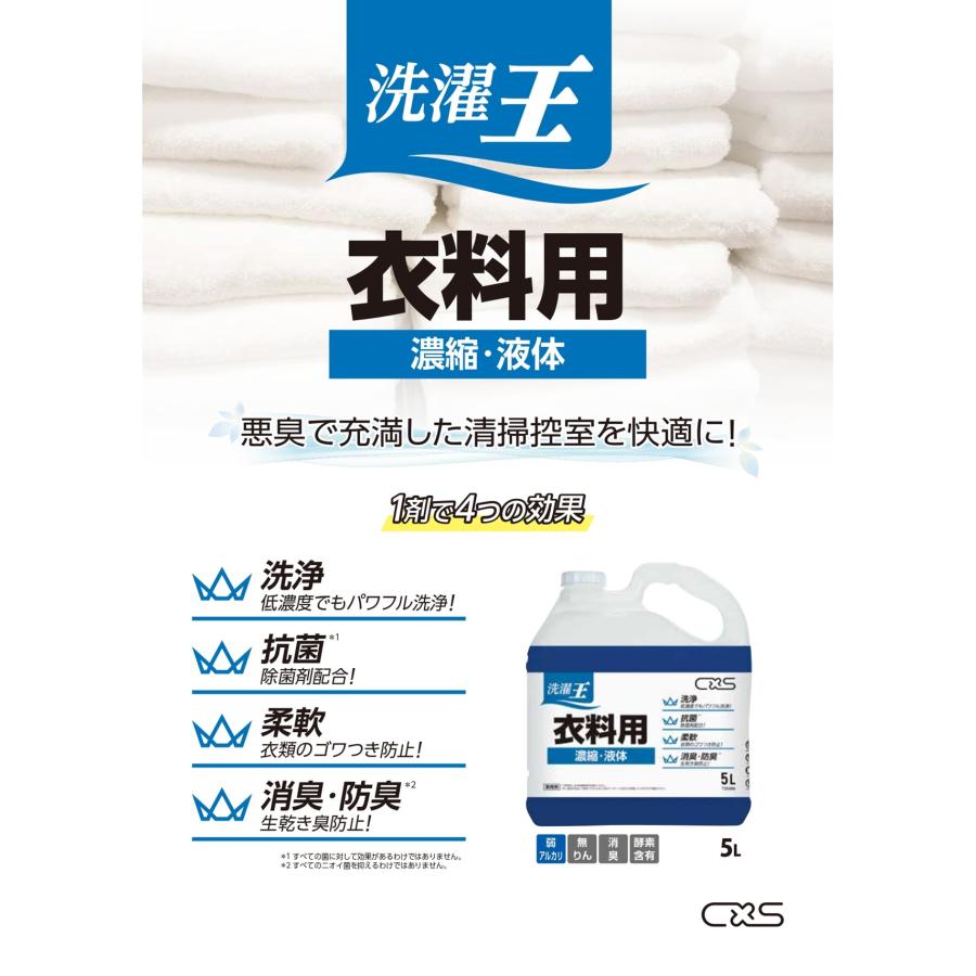 シーバイエス C×S 洗濯王 5L （1本） 衣料用洗濯洗剤 1剤で洗濯 柔軟