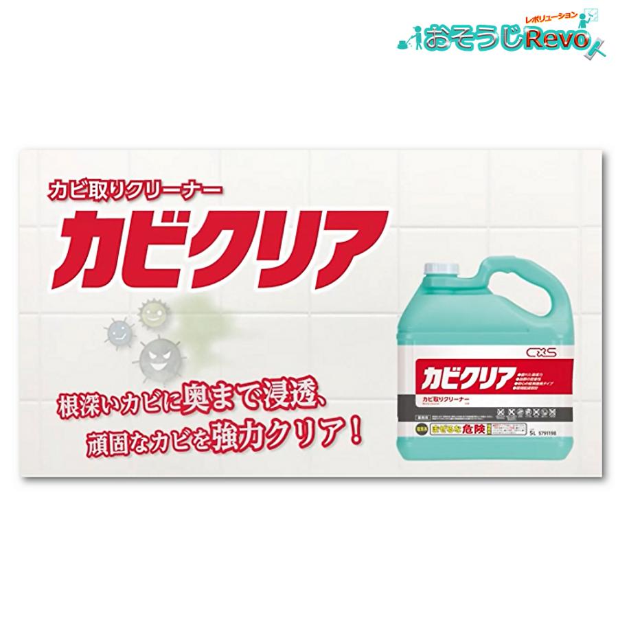 シーバイエス C×S カビクリア 5L （3本）業務用 カビ取り剤 まとめ買い