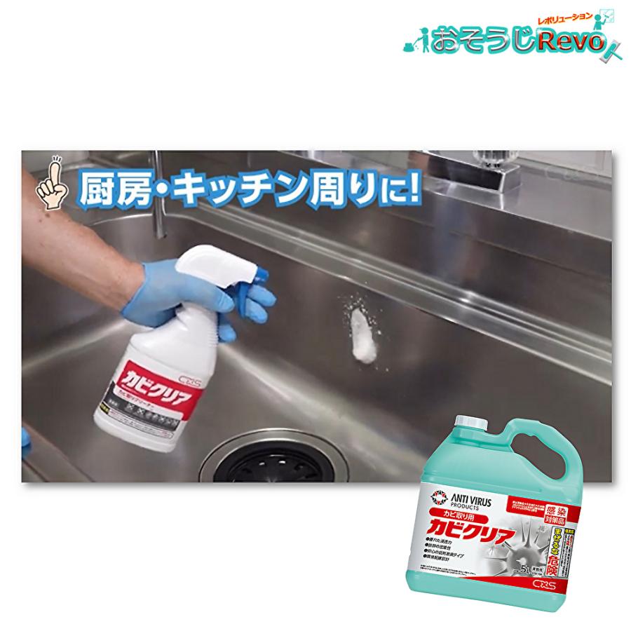 シーバイエス C×S カビクリア 5L （3本）業務用 カビ取り剤 まとめ買い