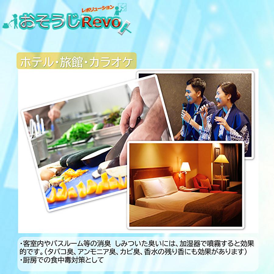 イシイ ステリPRO 20L （5箱） 空間除菌 消臭 弱酸性次亜塩素酸水