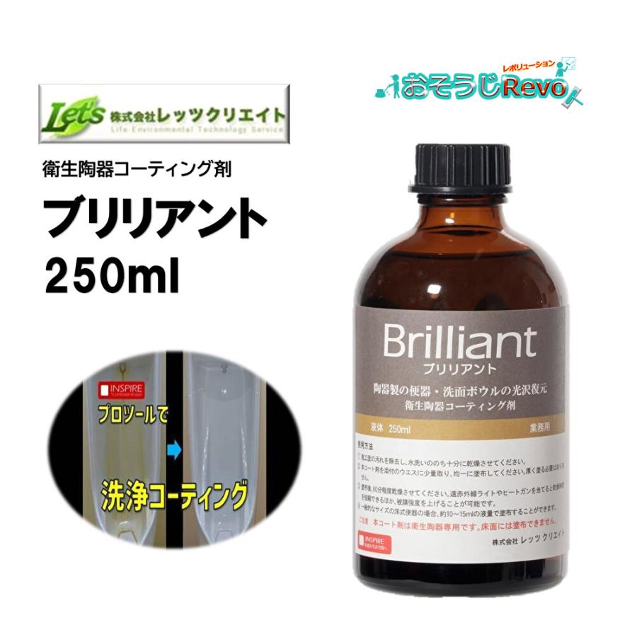 レッツクリエイト ブリリアント 250ml （1本） 衛生陶器コーティング剤 