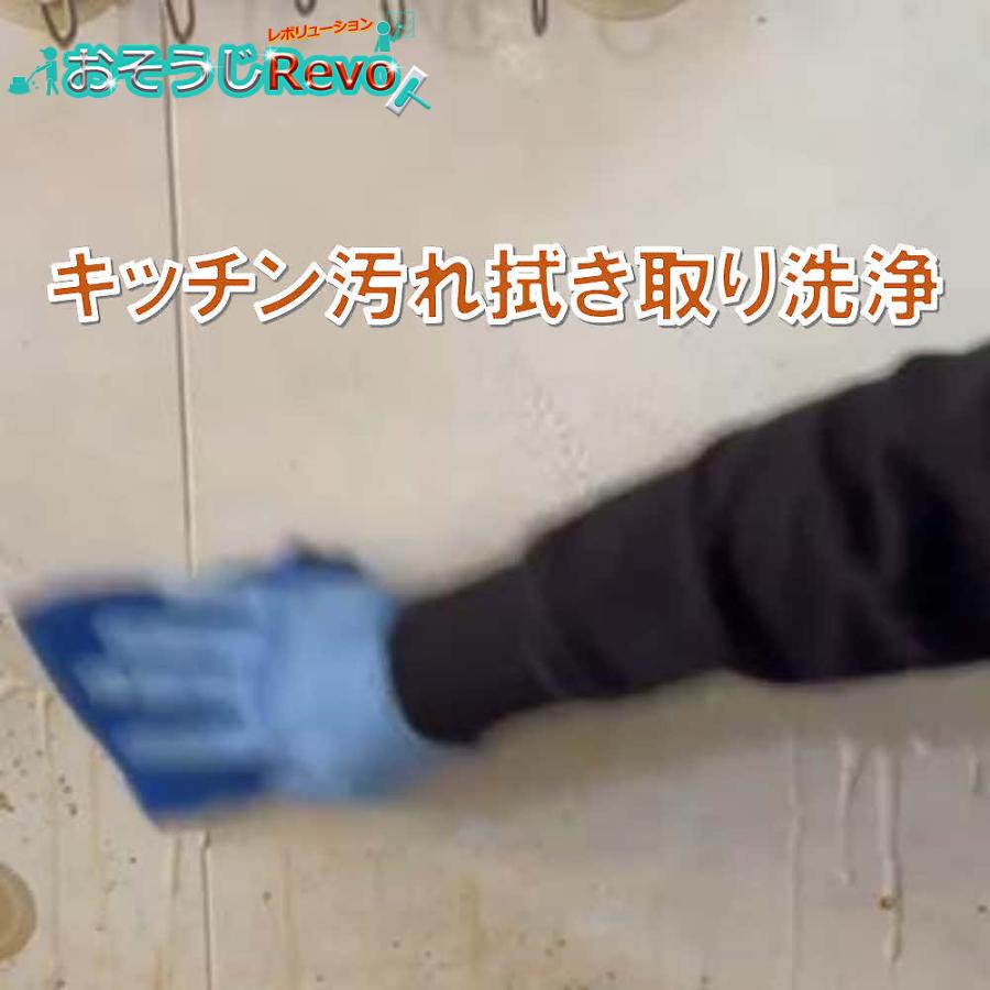 おそうじRevo 強アルカリ電解水 アクアレボリューションPh13.2 2500ml （6本） アルカリ電解水 クリーナー （１本あたり2150円） JI 大特価セールの画像