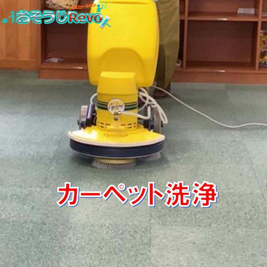 おそうじRevo 強アルカリ電解水 アクアレボリューションPh13.2 2500ml （6本） アルカリ電解水 クリーナー （１本あたり2150円） JI 大特価セールの画像