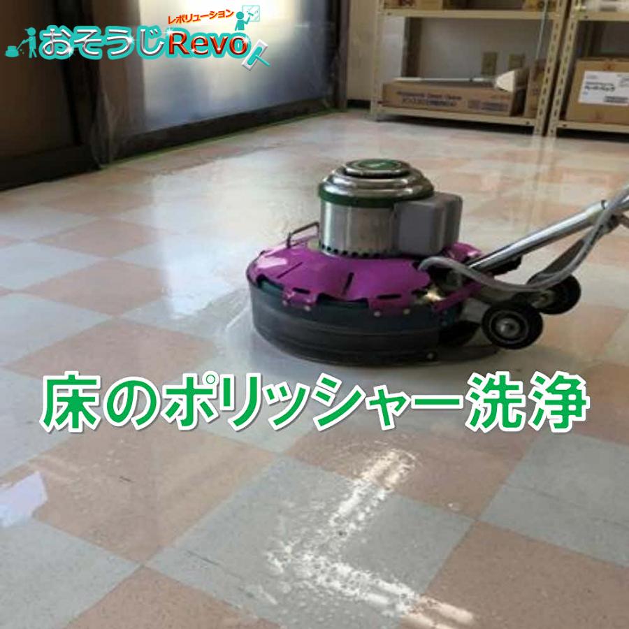 おそうじRevo 強アルカリ電解水 アクアレボリューションPh13.2 2500ml （6本） アルカリ電解水 クリーナー （１本あたり2150円） JI 大特価セールの画像