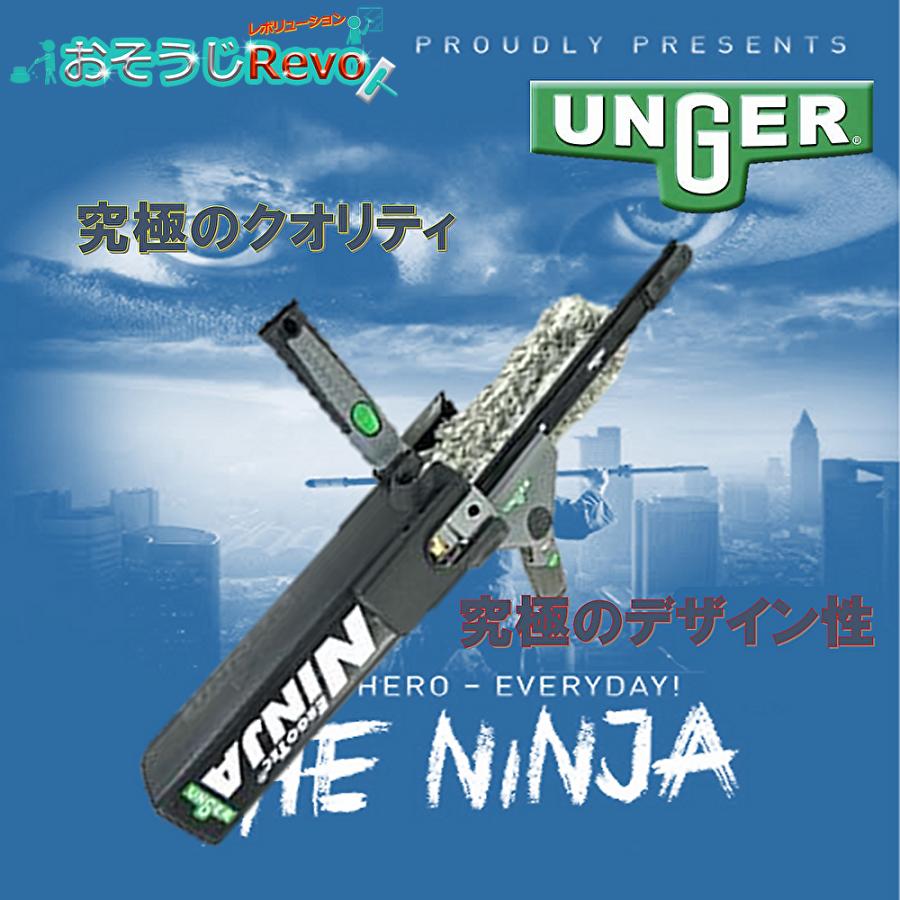 ヘルガー アンノーン デンリュウ カポエラー バタフリー ヤンヤンマ セット ヘルガー アンノーン デンリュウ カポエラー バタフリー ヤンヤンマ