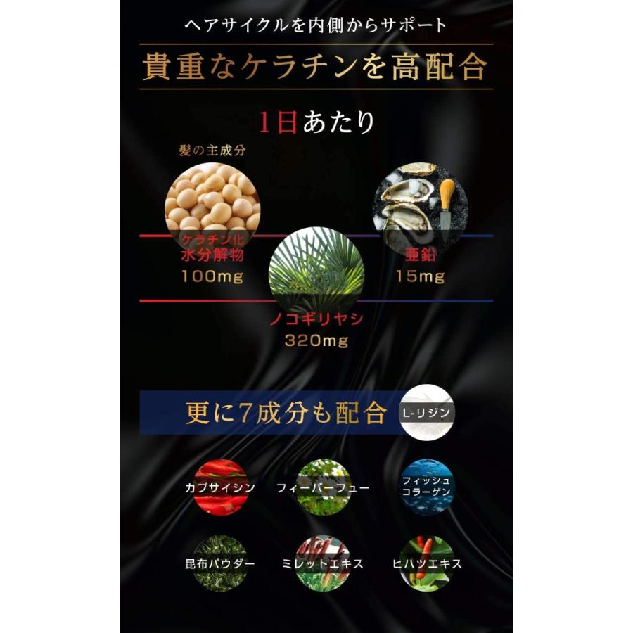 ケラチン ノコギリヤシ 亜鉛 L-リジン コラーゲン イチョウ葉エキス サプリメント 60粒約30日分|tnyk-56193009|05