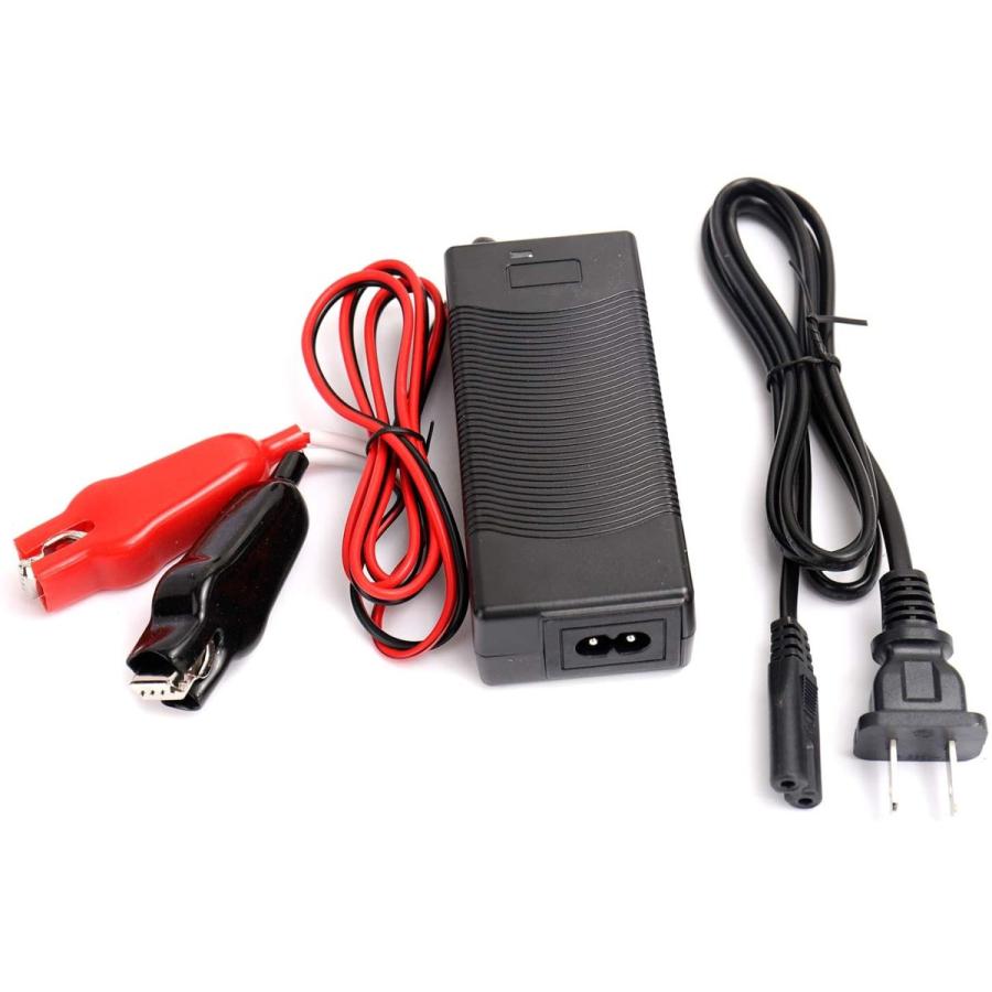 ダイワ シマノ 電動リール用 Dn 1700ns 専用充電器 電圧100v 240v スーパーリチウムバッテリー 互換充電器 電動リール Www Geminicorp Be