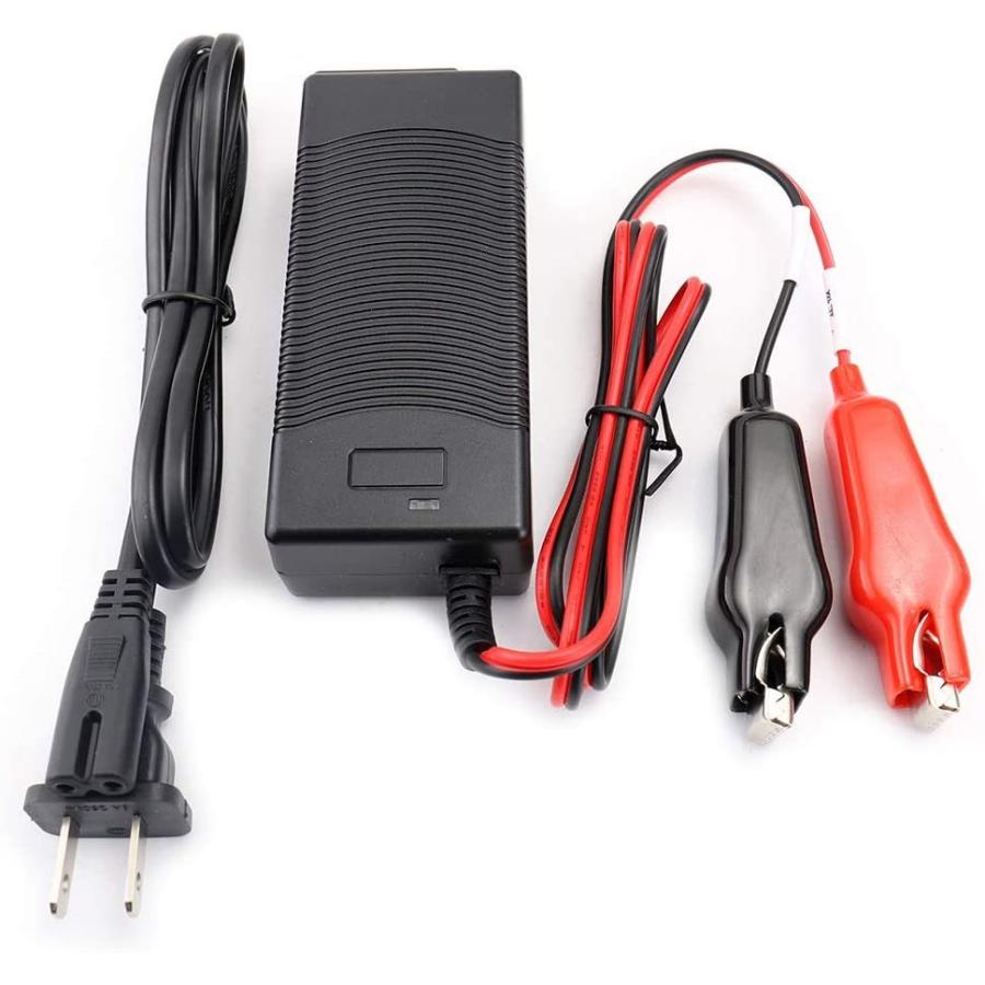 ダイワ シマノ 電動リール用 Dn 1700ns 専用充電器 電圧100v 240v スーパーリチウムバッテリー 互換充電器 電動リール Www Geminicorp Be