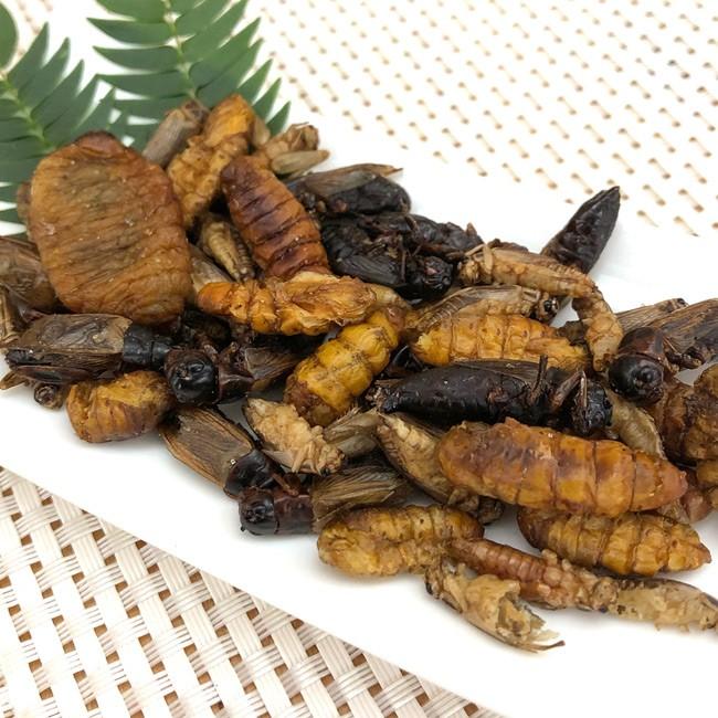 昆虫食 食用 昆虫ミックス コオロギ サゴワーム さなぎ JRユニーク |  | 03