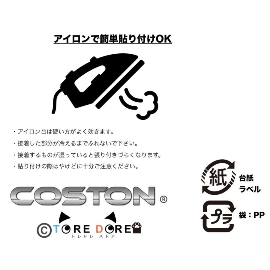 ワッペン アイロン 車 レーシング エンブレム 4枚以上で送料無料|to-do|04