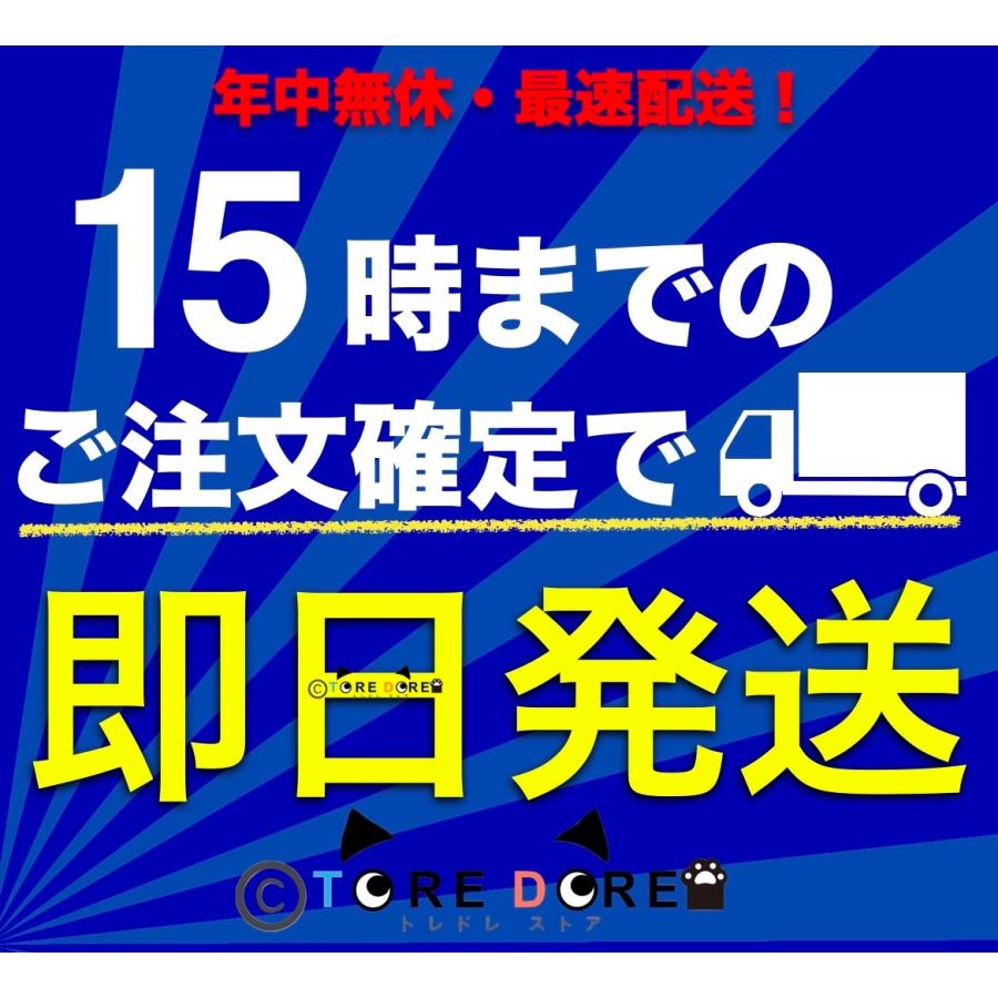 ビタブリッドC ジャパン ヘアー トニック 2本セット ビタブリット EX 育毛剤 vitabrid｜to-do｜03