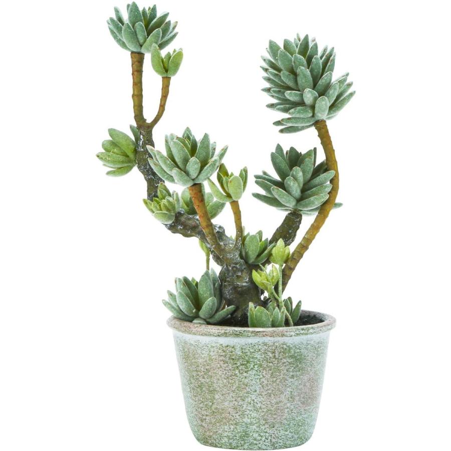 安い購入 Energypower フェイクグリーン セダム盆栽 人工多肉植物 水やり不要 光触媒防臭抗菌 本物そっくりの枯れないイミテーショングリーン 超大特価 Foroactua Com