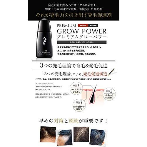 【医薬部外品】&GINO プレミアムグローパワー 120ml【 育毛剤 育毛ローション 発毛促進 】｜to-u｜06