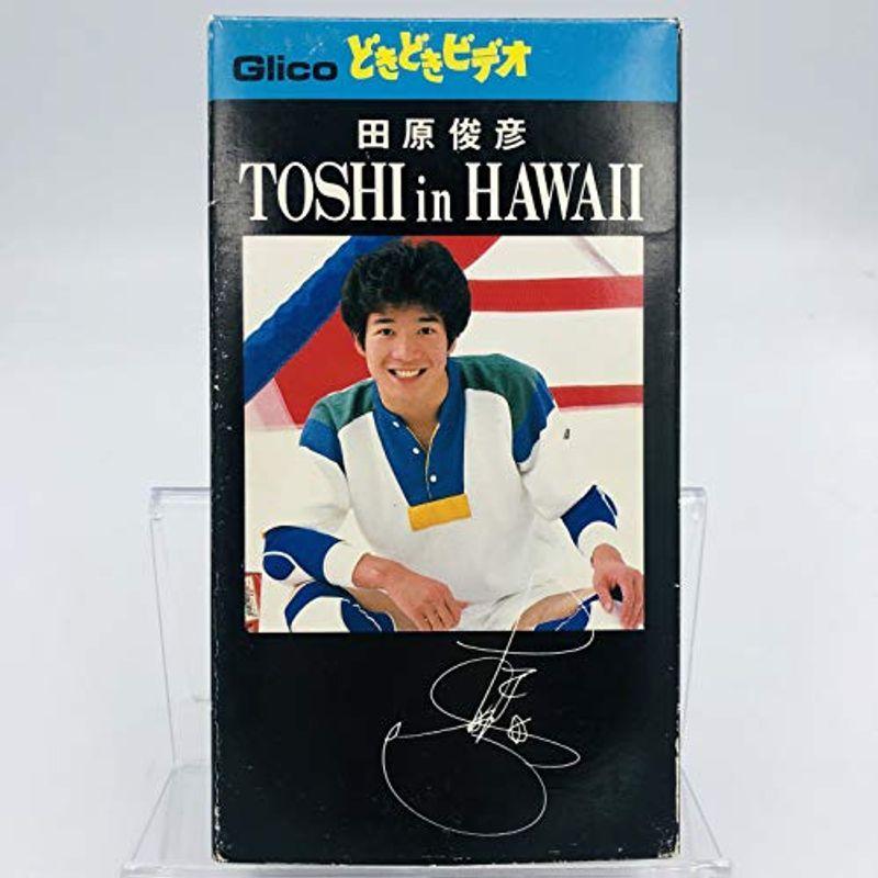 田原俊彦 / TOSHI in HAWAII 抽選プレゼント品 グリコ VHS 値下げしま 
