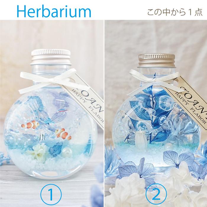 人気 ギフト ハーバリウム ボールペン 海 ギフトセット 花 クラゲ 水族館 誕生日 プレゼント ギフト 退職 転勤 祝 結婚 内祝 入学 就職 |  | 08