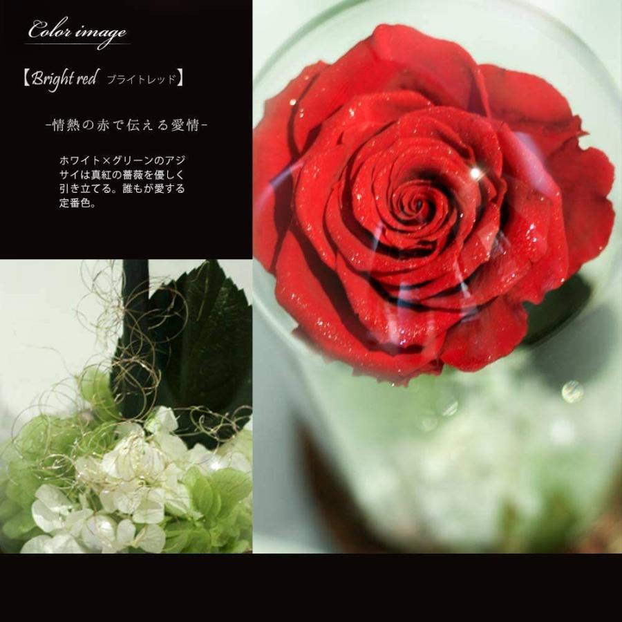 【公式】 Makefuture プリンセスフルール プリザーブドフラワー ガラスドーム バラ 美女と野獣 プロポーズ ブライトレッド 【O1697947756】(10574円)