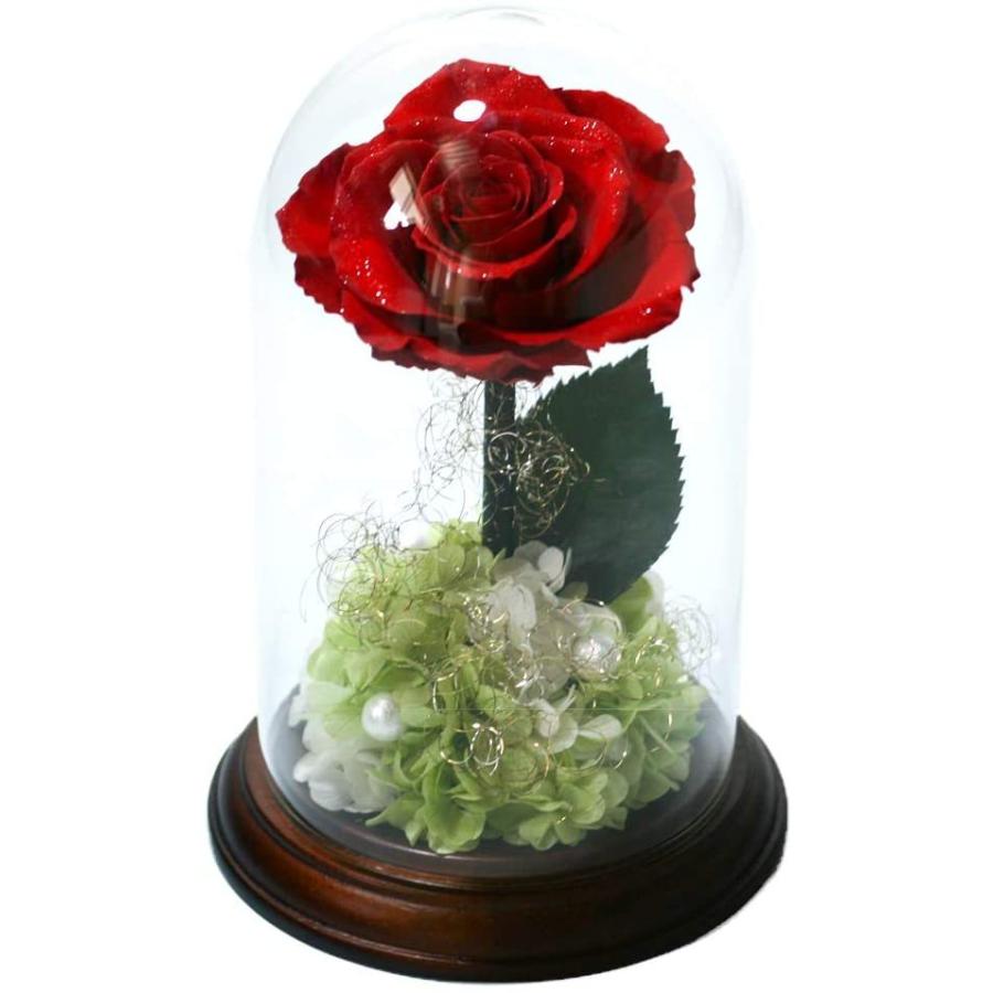 【公式】 Makefuture プリンセスフルール プリザーブドフラワー ガラスドーム バラ 美女と野獣 プロポーズ ブライトレッド 【O1697947756】(10574円)