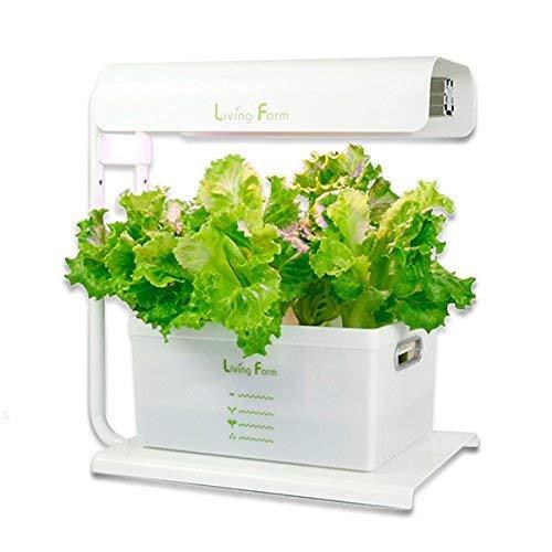 予約販売品 リビングファーム 水耕栽培器キット ココベジi 高輝度led付き リーフレタス種付き 室内 栽培キット 爆安プライス Talentoindustrial Com