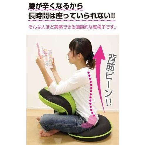 PROIDEA プロイデア 背筋がGUUUN美姿勢座椅子 (ブラウン) プロイデア 背筋がGUUUN美姿勢座椅子 ブラウン