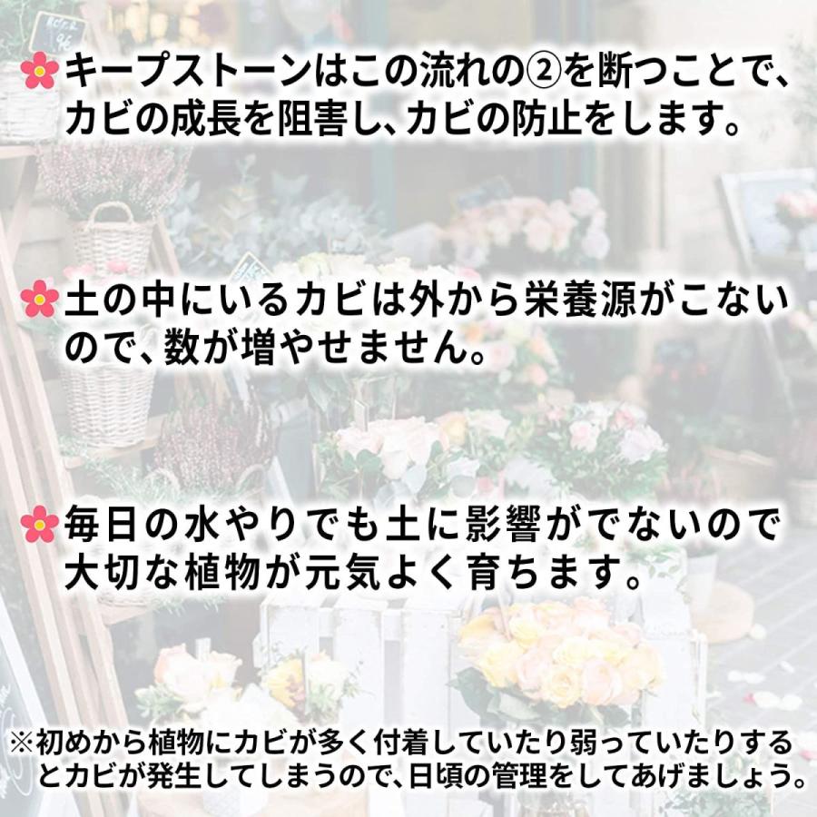 植物 観葉植物用 防カビ剤入り化粧石 Keep Stone 入荷中 キープストーン 防止 K S2400 白 2400g カビ 大理石の化粧砂利