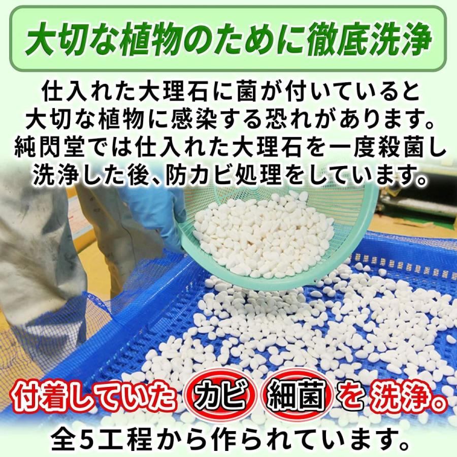 植物 観葉植物用 防カビ剤入り化粧石 Keep Stone 入荷中 キープストーン 防止 K S2400 白 2400g カビ 大理石の化粧砂利
