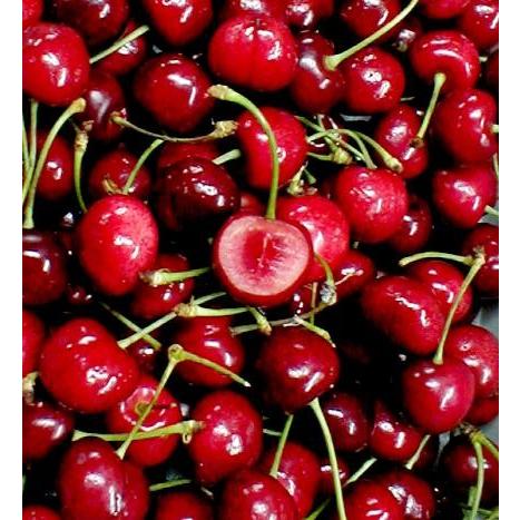 さくらんぼ アメリカンチェリー 約2kg アメリカ産 |桜ん坊 さくらんぼ アメリカンチェリー 約2kg アメリカ産 |桜ん坊