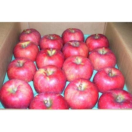 りんご 千秋リンゴ せんしゅうりんご 約5ｋｇ 中玉 18 個入り 秋田 長野産 林檎 アップル 秋 Apple Sensiyu Nagano 5k S 京の老舗の果物屋 鳥羽伊三 通販 Yahoo ショッピング