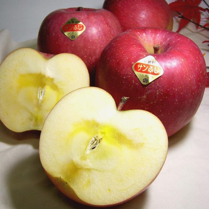 りんご 長野産 安曇野 あづみの高原のサンふじリンゴ 約5kg 中玉 18〜20個入り※甘いりんごですが蜜入り保障は致しかねます|お歳暮 御