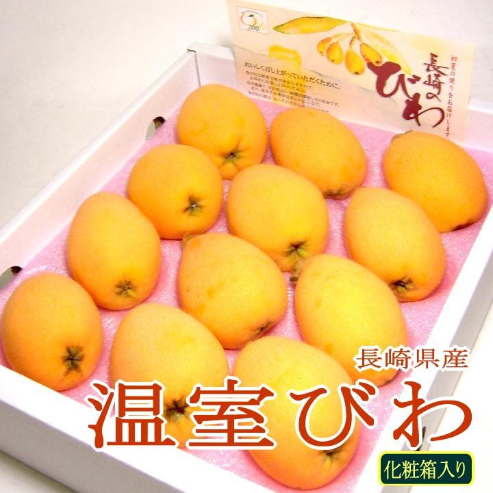 長崎産 温室びわ 茂木ビワ Lサイズ 12個入り化粧箱 ご贈答おすすめ果物です 有機栽培採用 ながさき もぎびわ 枇杷 プレゼント ギフト 母の日 Ioquat L S12 京の老舗の果物屋 鳥羽伊三 通販 Yahoo ショッピング