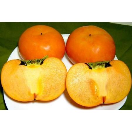 カキ 京都産 大枝柿 おおえのかき 冨有柿 2ｌサイズ 13個入り ふゆがき 富有カキ 大枝のカキ Kaki Ooe 2l S13 京の老舗の果物屋 鳥羽伊三 通販 Yahoo ショッピング