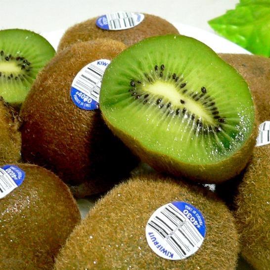 キウイフルーツ 緑肉 約5ｋｇ 50個前後 チリ産 グリーンキウイ ビタミンc補給 Kiwifruit Chiri 2s 5kg 京の老舗の果物屋 鳥羽伊三 通販 Yahoo ショッピング
