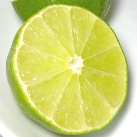 ライム 10個 メキシコ産 limemexico100g10京の老舗の果物屋 鳥羽伊三 通販 Yahoo!ショッピング
